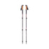 Black Diamond - Alpine Carbon Cork Trekking Poles