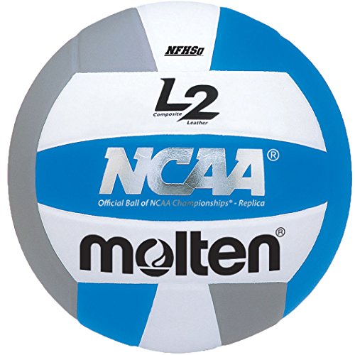Molten - Premium Competition L2 Volleyball
